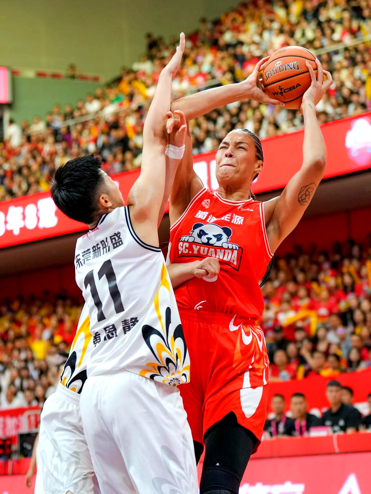 四川队鏖战火箭，塔图姆统治全场