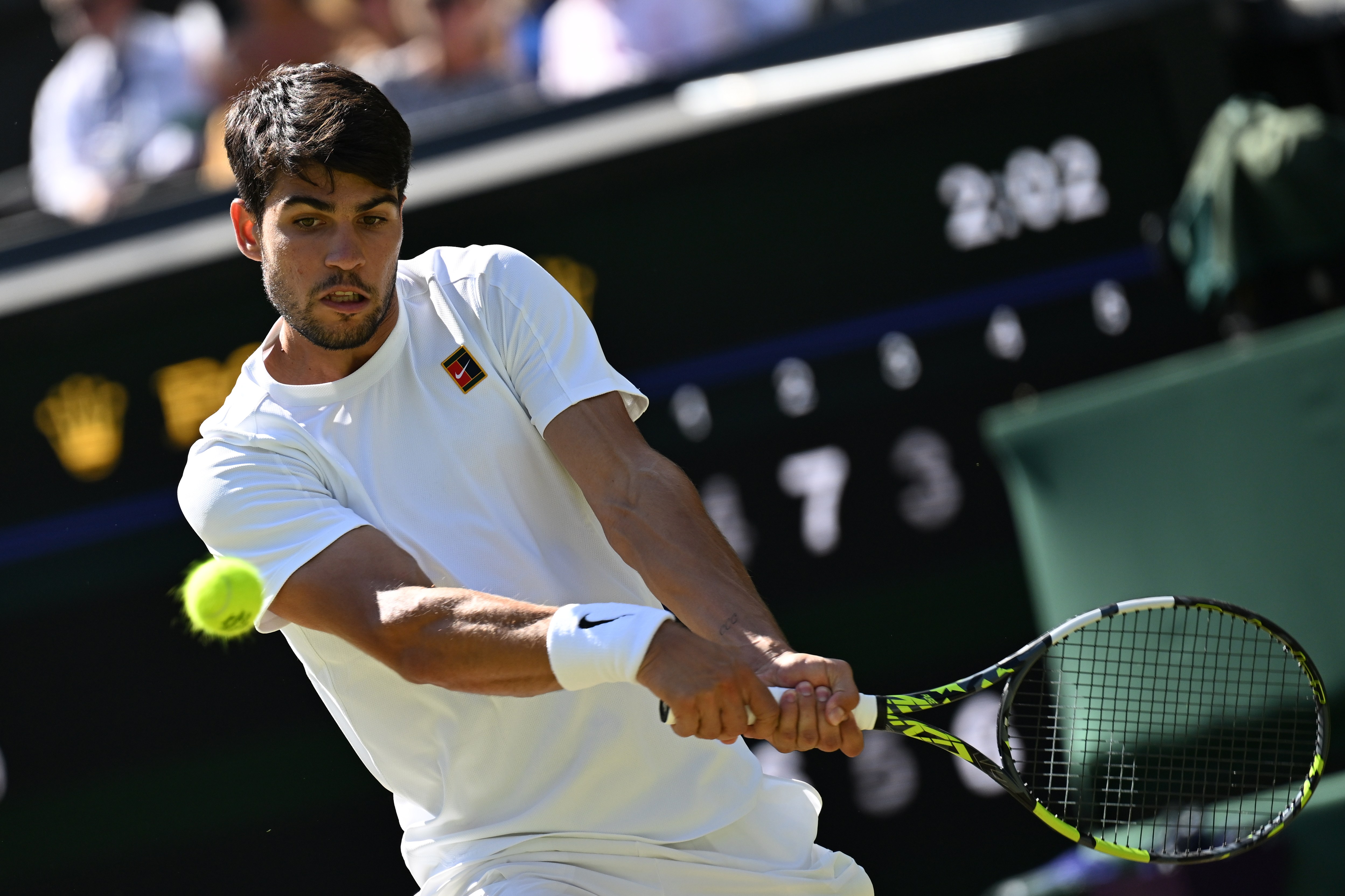 温网完胜拉沃尔杯，阿尔卡拉斯状态火热