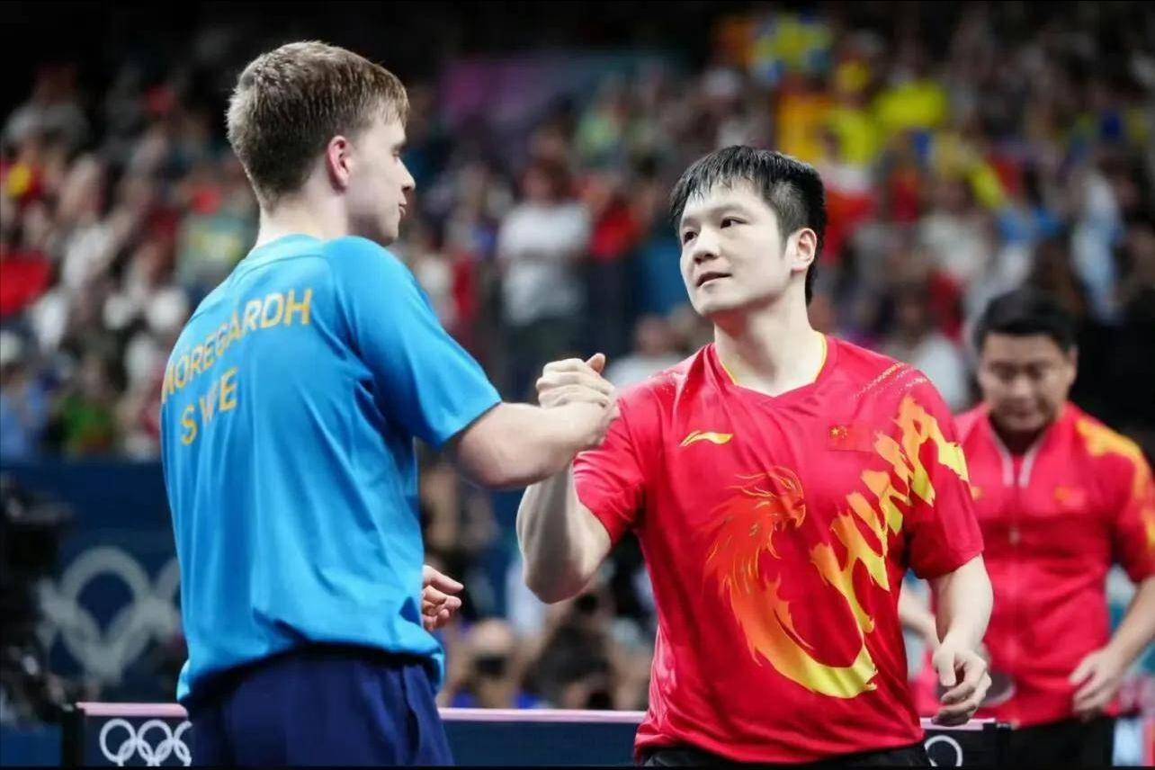 波兰队绝杀中国队，樊振东扛起全队