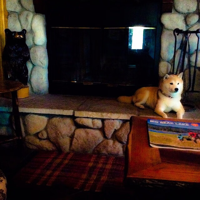 迪马利亚一锤定音，切尔西淘汰墨西哥背后的战术博弈